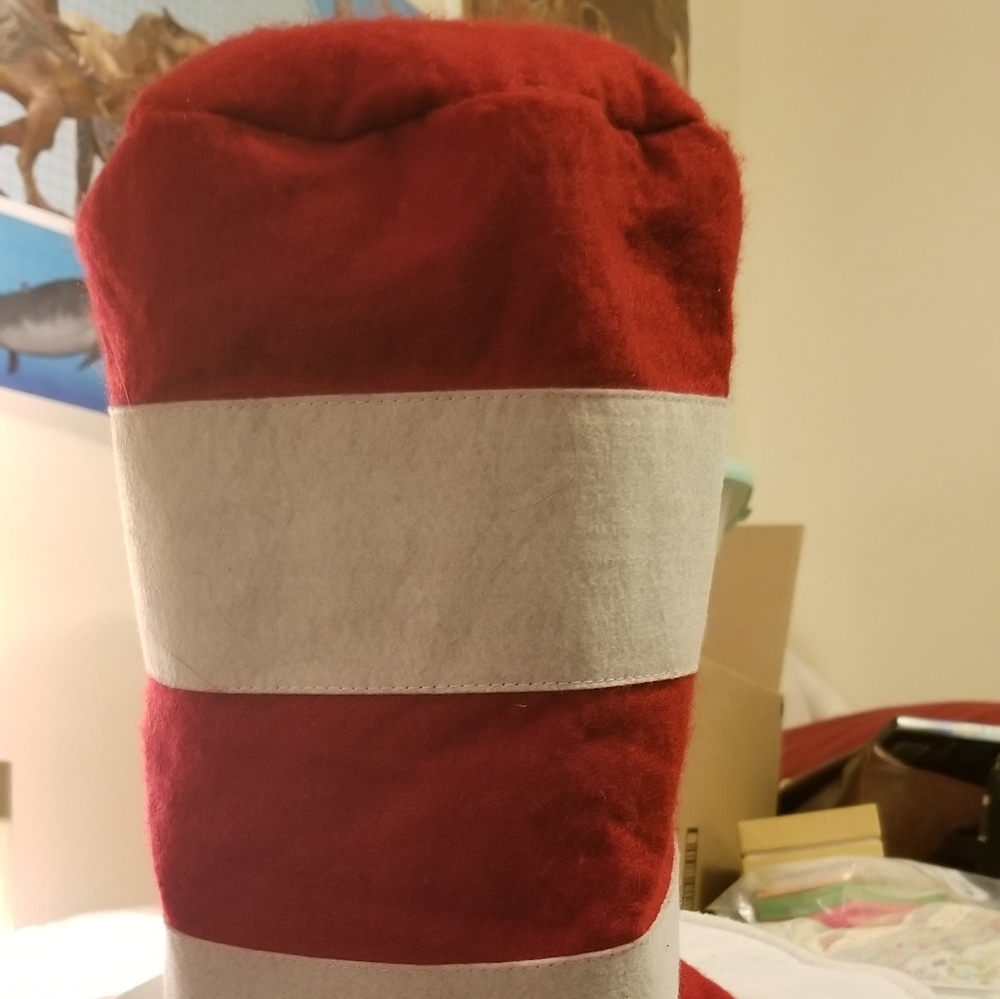Cat in the Hat Hat